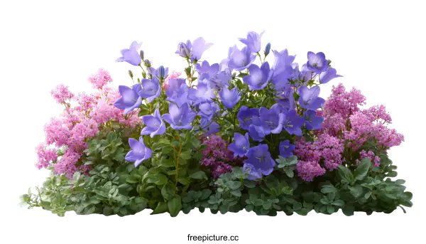 [Transparent Background PNG]Colorful Flower Arrangement Against White Background