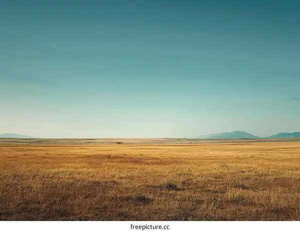 Vast Grassland Under Blue Sky
