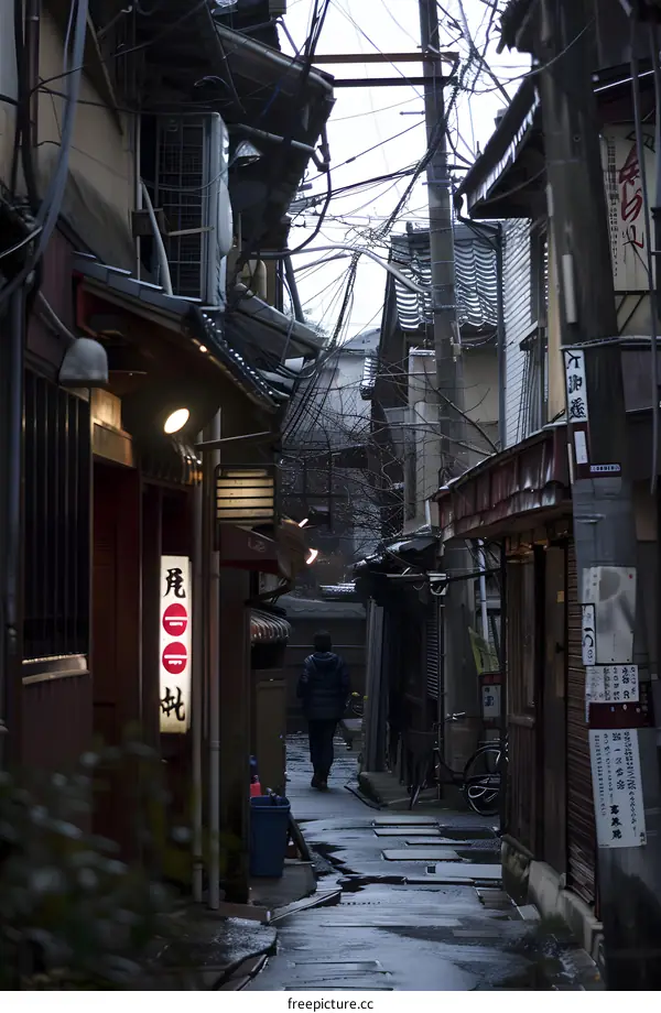 Narrow Alleyway in Japan with Person Walking