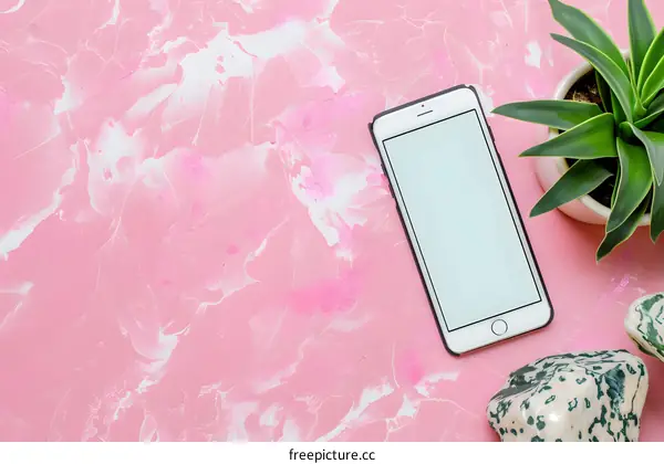 Flat Lay with Smartphone, Plant and Stones on Pink Background