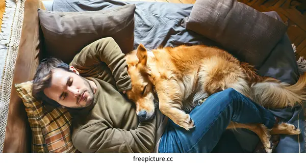 A man is sleeping on a bed with a golden retriever dog