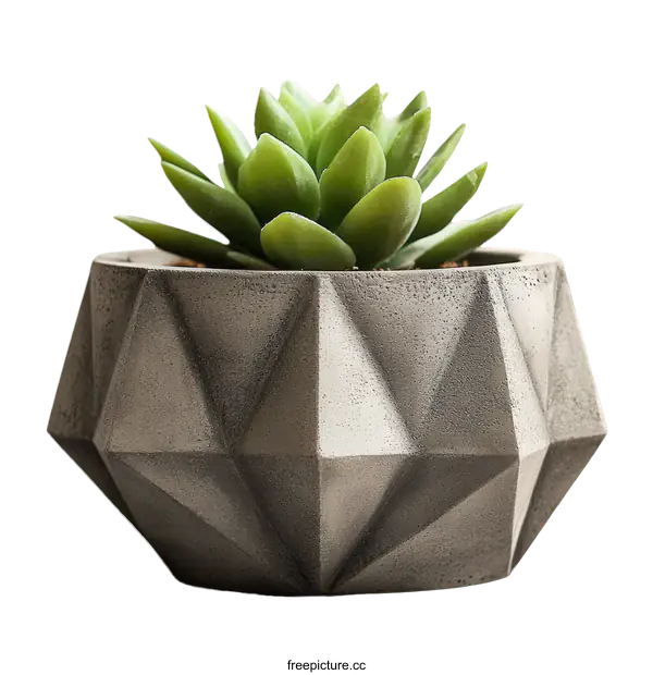 [Transparent Background PNG]Geometric Concrete Planter with Succulent