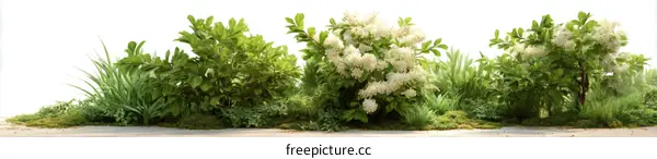 Beautiful Spring Garden Scene with Flowers and Plants