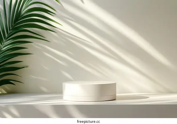 Modern Minimalist Product Showcase with Sunlight and Palm Leaves