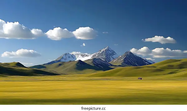 Majestic Mountain Scenery of a Sunny Day