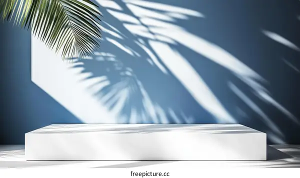 Modern Minimalist Product Display with Palm Shadow