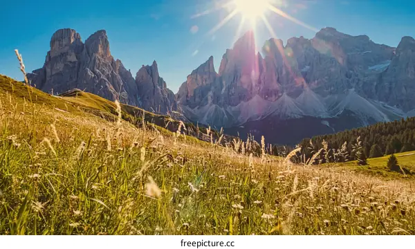 Alpine Meadow Landscape Under Majestic Peaks