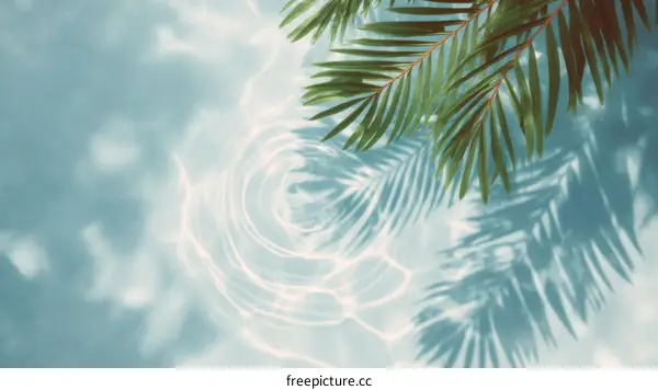 Tropical Leaves Shadow on Water Surface Background