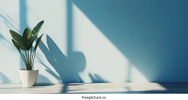 Minimalist Interior Design with Green Plant and Sunlight