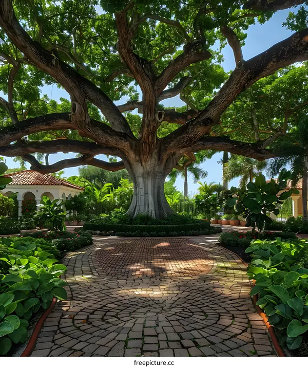 Majestic Tree in a Courtyard Garden