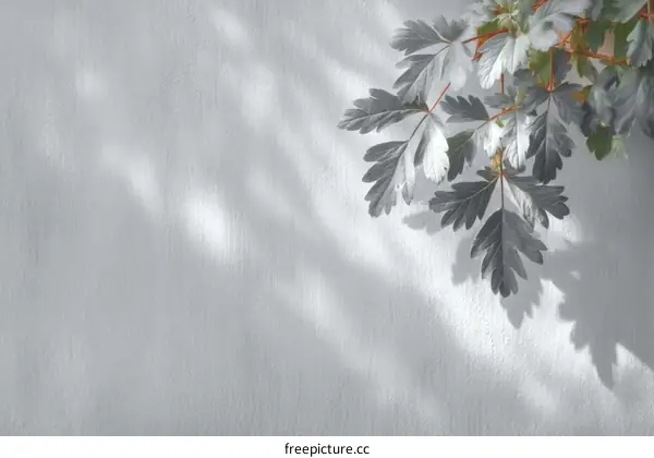Elegant Shadow Play on a Light Gray Wall with Foliage