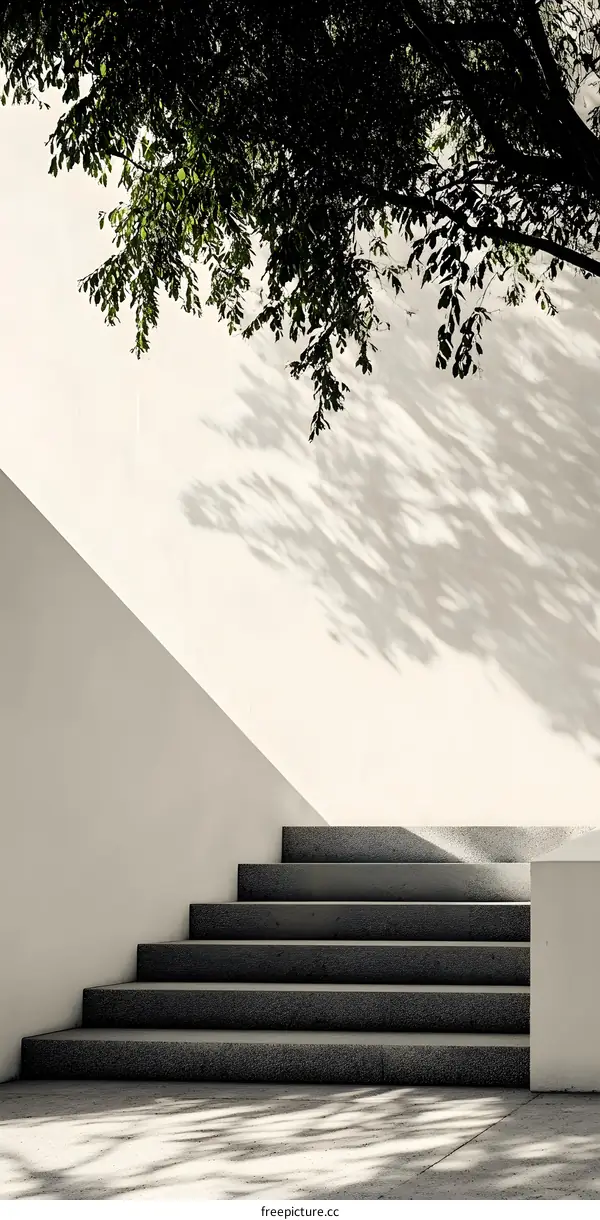 Simple Modern Steps with Tree Shadow
