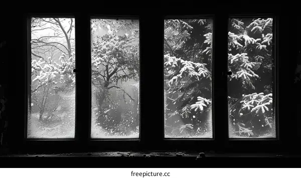 Black and white photo of snow covered trees outside a window