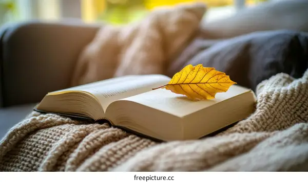 Autumn Reading Nook with Open Book and Leaf