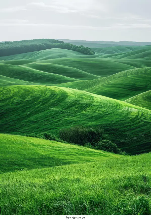 Enchanting Green Tuscany Hills, Italy