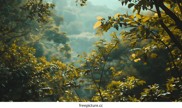 Green and Yellow Leaves in the Forest