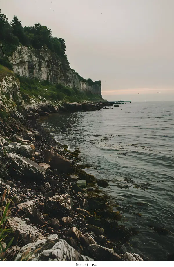 Rocky Coastline with Green Seaweed and Cliffs in the Background
