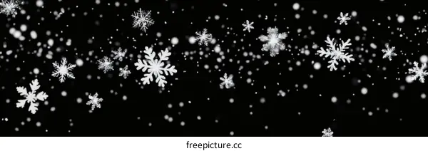 Winter Snowflakes Falling on Black Background