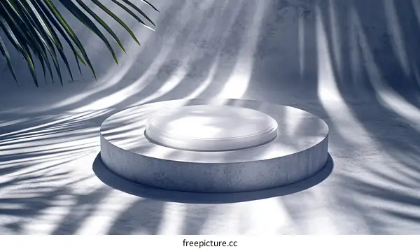 Abstract Concrete Podium Display with Palm Leaves Shadows