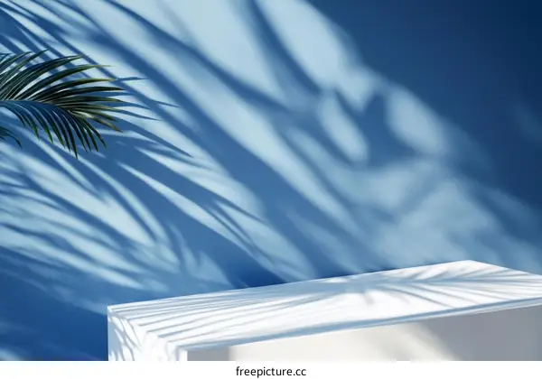 Stylish Minimalist Display with Palm Leaf Shadows