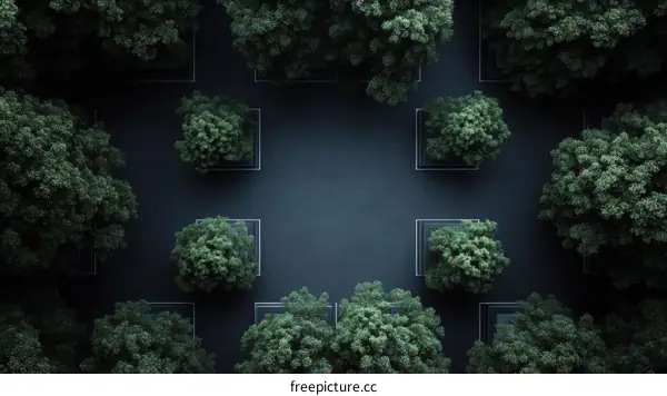 Aerial View of Urban Greenery Design