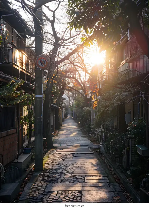 The sun shines through the alley