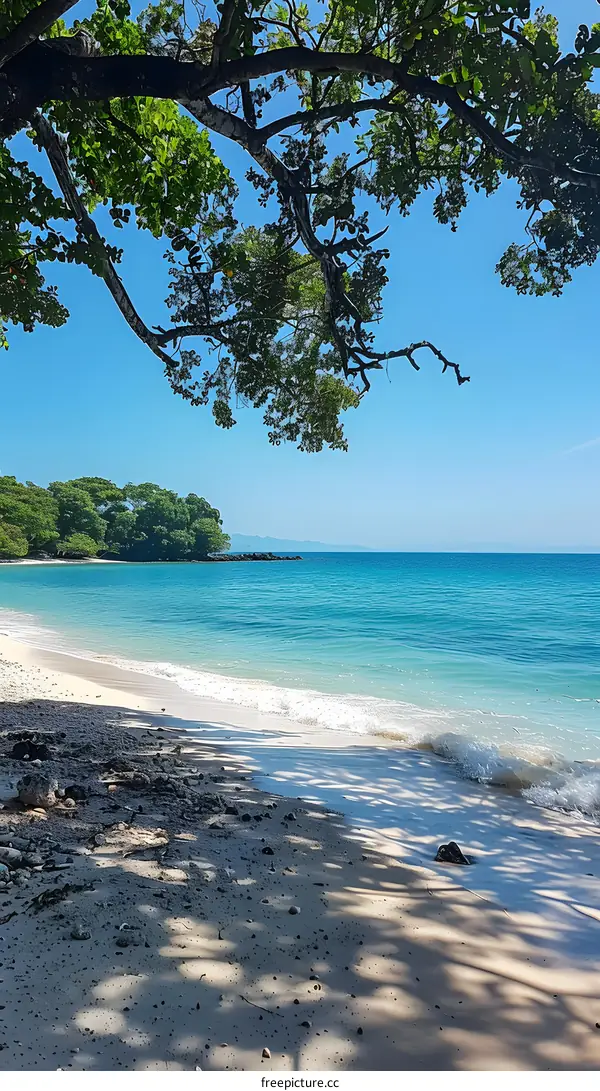 Tropical Beach Paradise