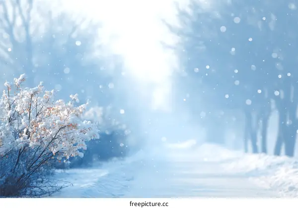 Winter Wonderland Snowy Landscape Pathway