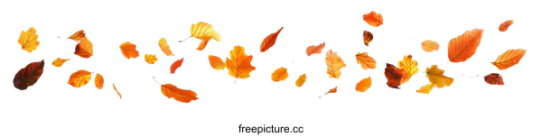 [Transparent Background PNG]Autumn Leaves Falling in the Wind