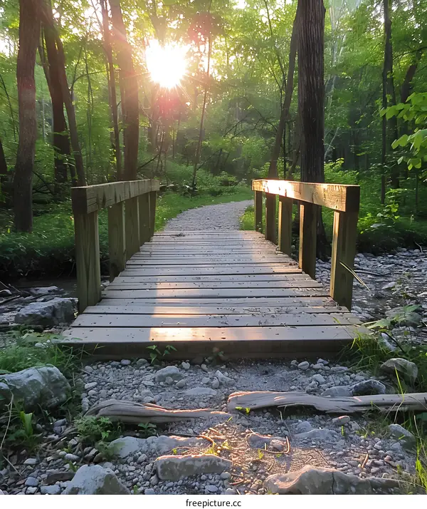 Wooden bridge in the middle of a lush green forest with sun rays shining through the trees