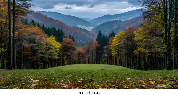colorful trees and mountains in autumn