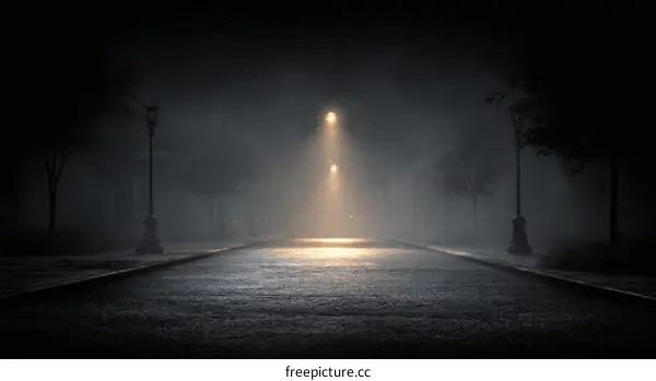 Mysterious Foggy Night Street Scene