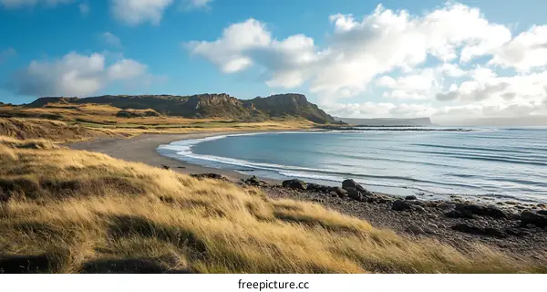 Scenic View Of A Beach With Cliffs And Grass In The Foreground
