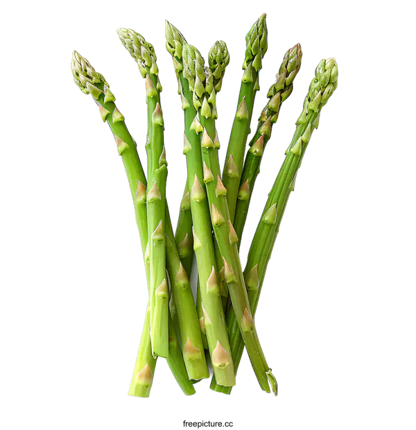 [Transparent Background PNG]Fresh green asparagus isolated on white background