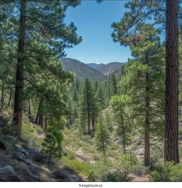 The beauty of nature