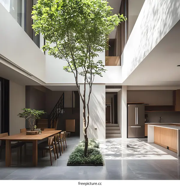 Modern Minimalist Home Interior Design With Tree In Center