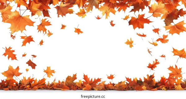 Autumn Leaves Falling Frame Background