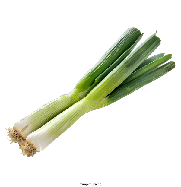 [Transparent Background PNG]Green Onions Isolated on White Background