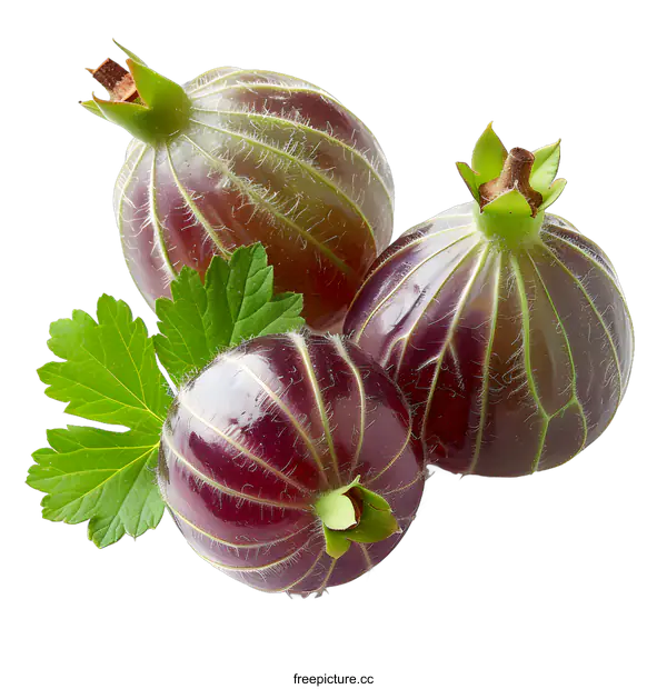 [Transparent Background PNG]gooseberries