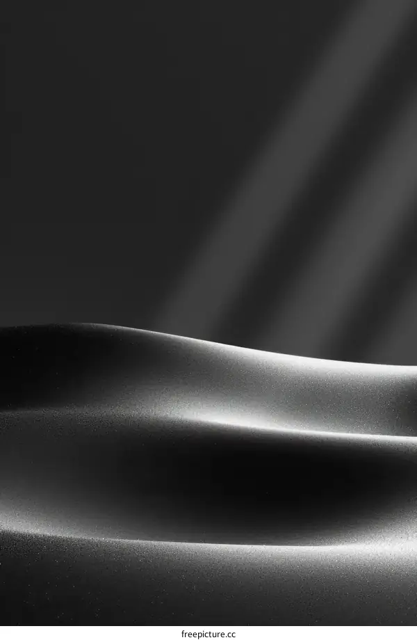 Black and white image of a curved surface with spotlight