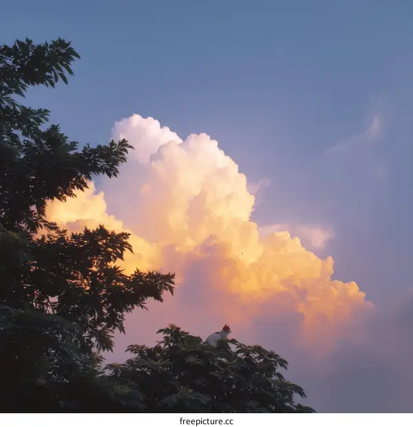 A Cat Sits on a Tree Top Under a Colorful Sky