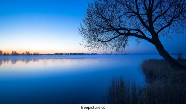 Peaceful Sunrise Over a Misty Lake