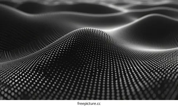 Black and white abstract 3D rendering of a terrain