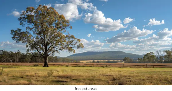 tree and fence in a rural field