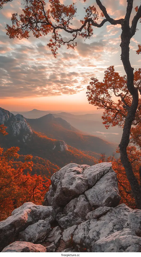 Autumn Mountain View From The Rock