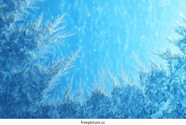 Frozen Window Pattern Abstract Beauty