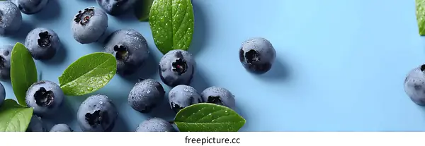 Fresh Blueberries with Leaves on Light Blue Background
