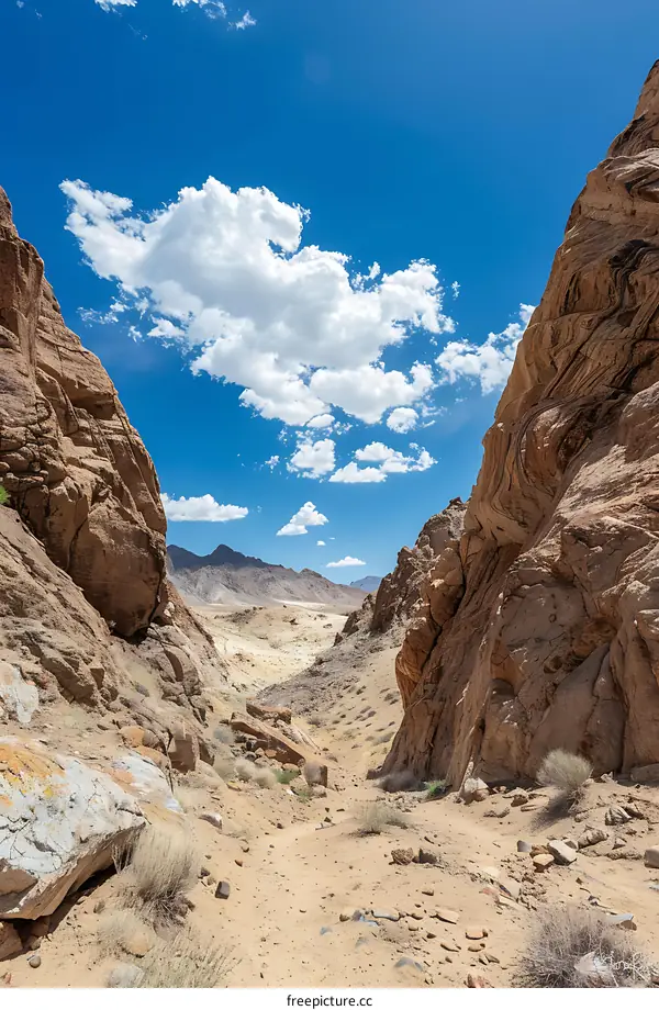 Desert Canyon with Blue Sky and Clouds