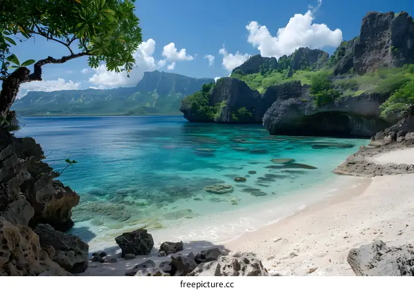 Beautiful beach with crystal clear water