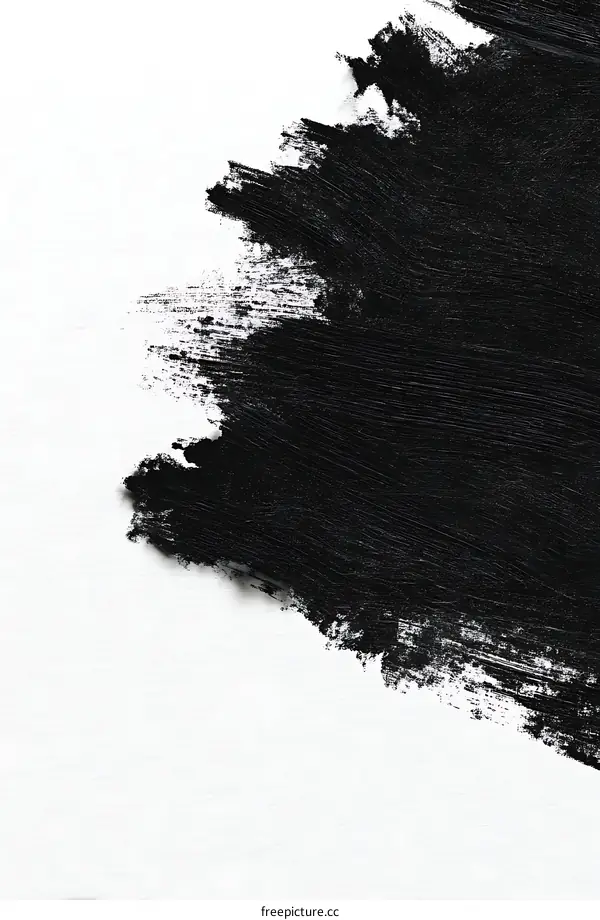 Abstract Black Paint Stroke on White Background